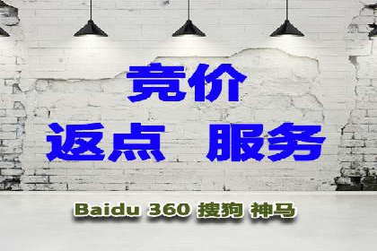 专业SEM服务托管方案案例分析